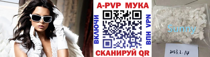 дарк нет какой сайт Онега Альфа ПВП крисы CK