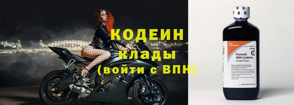 соль ск Богданович