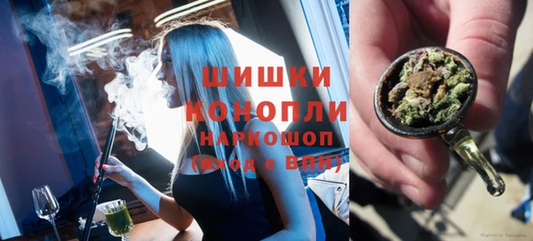 соль ск Богданович