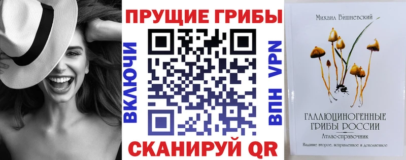 наркотики Онега Галлюциногенные грибы Psilocybe